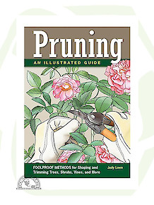 Pruning: An Illustrated Guide