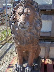 #454-Male Lion